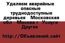 Удаляем аварийные, опасные, труднодоступные деревьея - Московская обл., Москва г. Услуги » Другие   